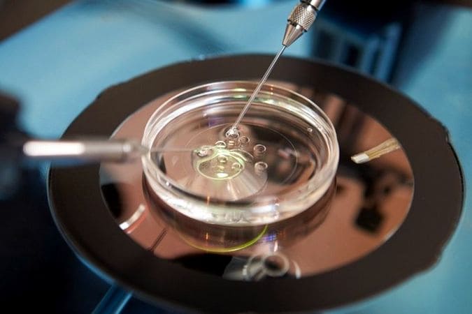 Nieudane in Vitro a badania immunologiczne
